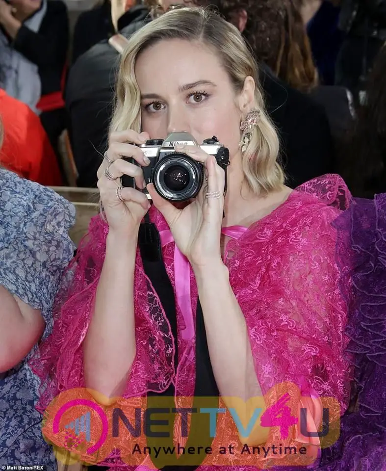 Actress Brie Larson Captivating Stills English Gallery