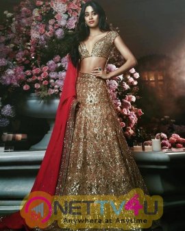 Actress Janhvi Kapoor Lovely Pics Hindi Gallery