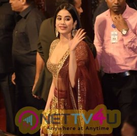 Actress Janhvi Kapoor Lovely Pics Hindi Gallery
