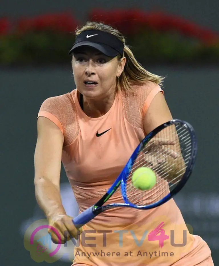 Tennis Player Maria Sharapova Marvelous Images English Gallery