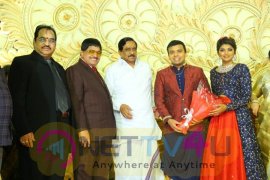 Ambica Krishna Grandson Wedding Reception Images Telugu Gallery