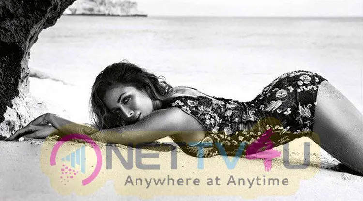 Actress Malaika Arora Khan Hot & Sexy Images Hindi Gallery