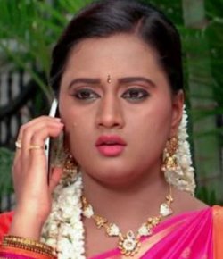 Princy Telugu TV-Actress