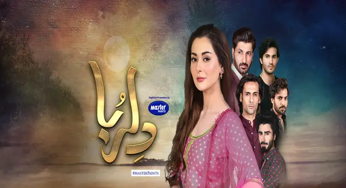 Urdu Tv Serial Dil Ruba Synopsis Aired On HUM TV Channel