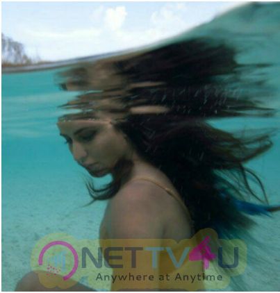 Hot Bollywood Actress Katrina Kaif Under Water Perfect Photos Hindi Gallery
