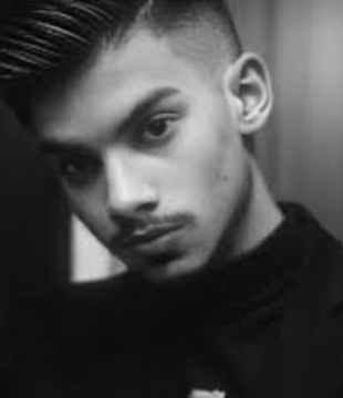 Insane Ashraf Hindi Singer