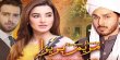 Maryam Periera  Urdu tv-serials on TV One