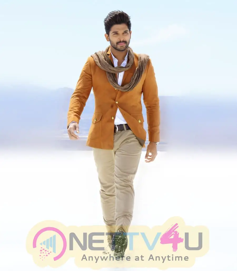 Allu Arjun Latest Hd Pics In Sarainodu Movie Telugu Gallery