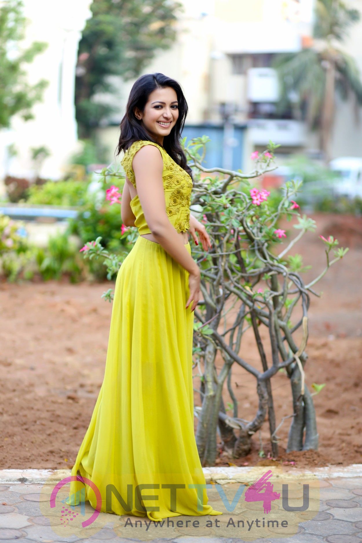  Actress Catherine Tresa Latest Photoshoot Stills Tamil Gallery