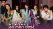 Teri Meri Dosti Urdu tv-serials on Express Entertainment 