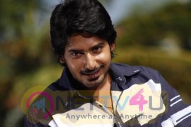 Actor Prajwal Devaraj Handsome Stills Kannada Gallery