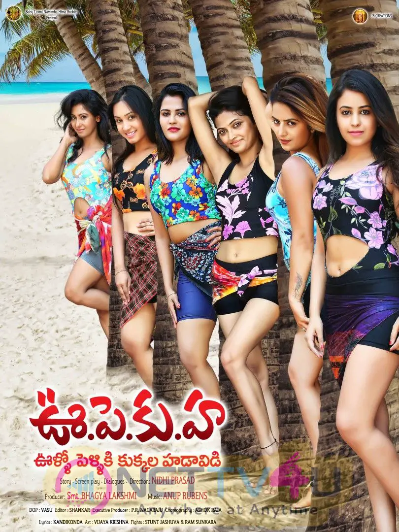 Oollo Pelliki Kukkala Hadavidi  Movie Posters Telugu Gallery