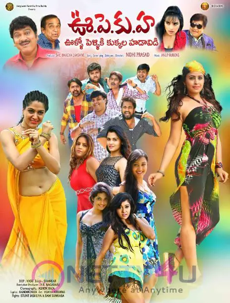 Oollo Pelliki Kukkala Hadavidi  Movie Posters Telugu Gallery