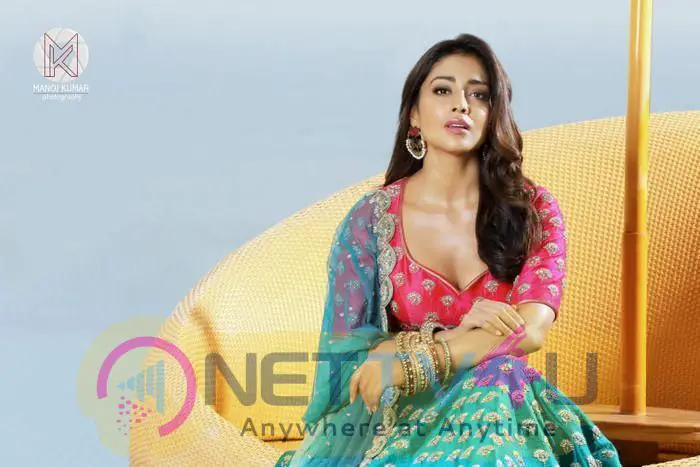 Shriya Saran New Stills Telugu Gallery