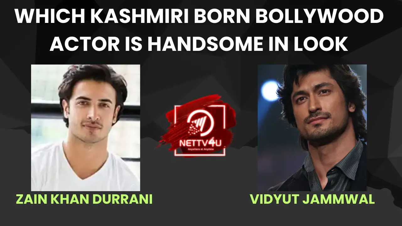 Which Kashmiri Born Bollywood Actor Is Handsome In Look