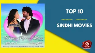 Top 10 Sindhi Movies
