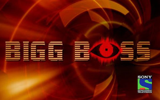 Hindi Tv Show Bigg Boss Season 1 
