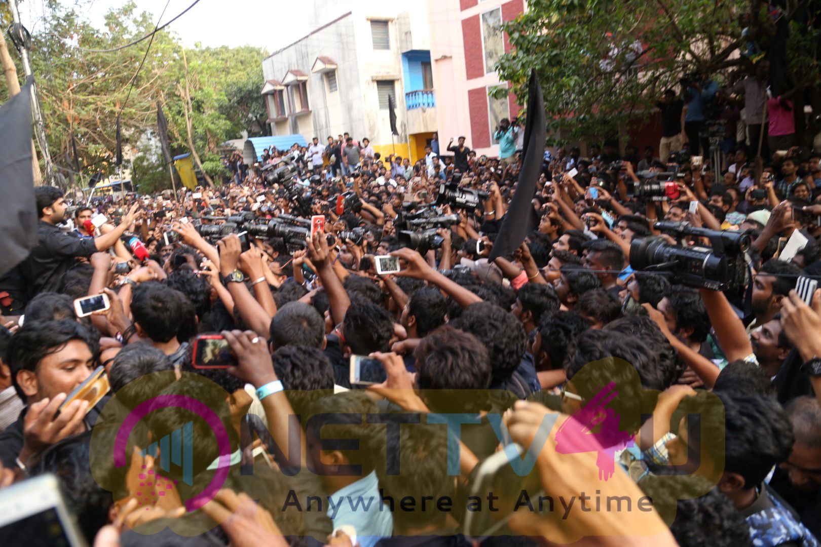 Actor STR Protest Against Ban Of Jallikattu Tamil Gallery