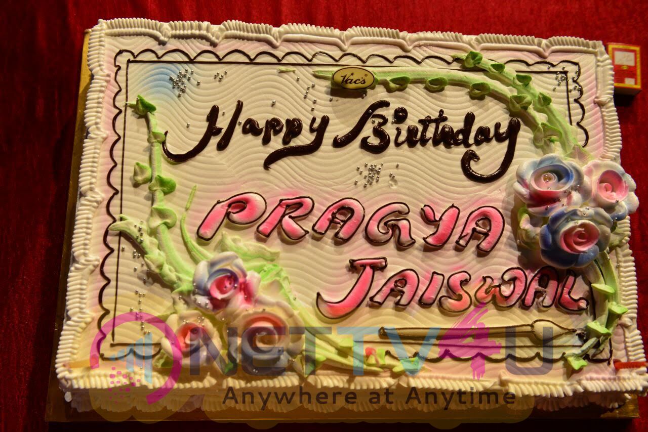 Actress Pragya Jaiswal Birthday Celebrations At Gunturodu Set Photos Telugu Gallery