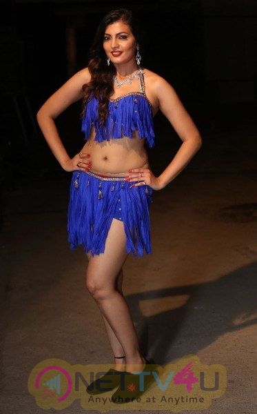 Hot Film Dancer Sufi Sayyad Stunning Photos  Telugu Gallery