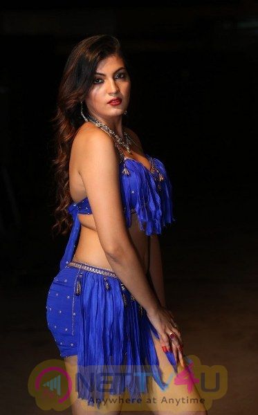 Hot Film Dancer Sufi Sayyad Stunning Photos  Telugu Gallery