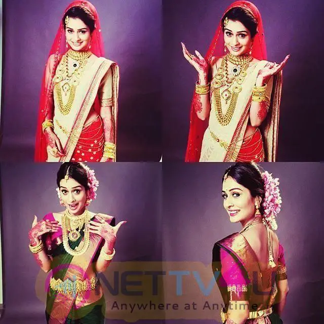 Actress Payal Rajput Attractive Images  Hindi Gallery