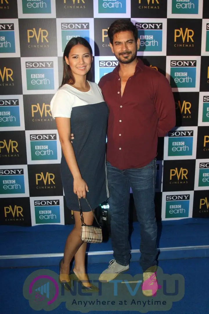 Screening Of Sony BBC Earth's Film Blue Planet 2 At Pvr Icon In Andheri  Exclusive Images Hindi Gallery