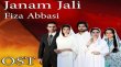 Janam Jali Urdu tv-serials on HUM TV