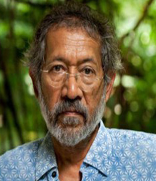 English Author Pradip Krishen