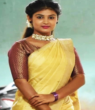Kannada Tv Actress Divya Wagulkar
