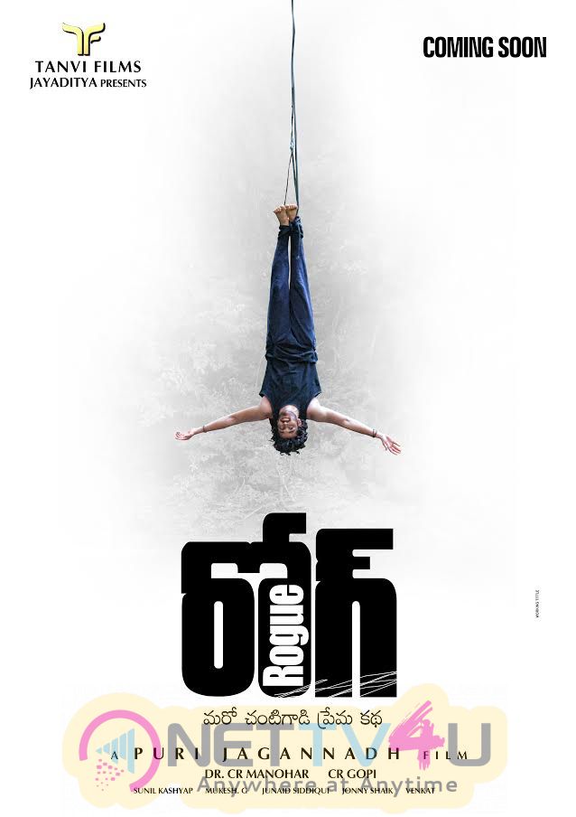 Puri Jagannadh In Rogue Movie First Look Posters Telugu Gallery