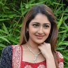 Sayesha Saigal Hindi Actress