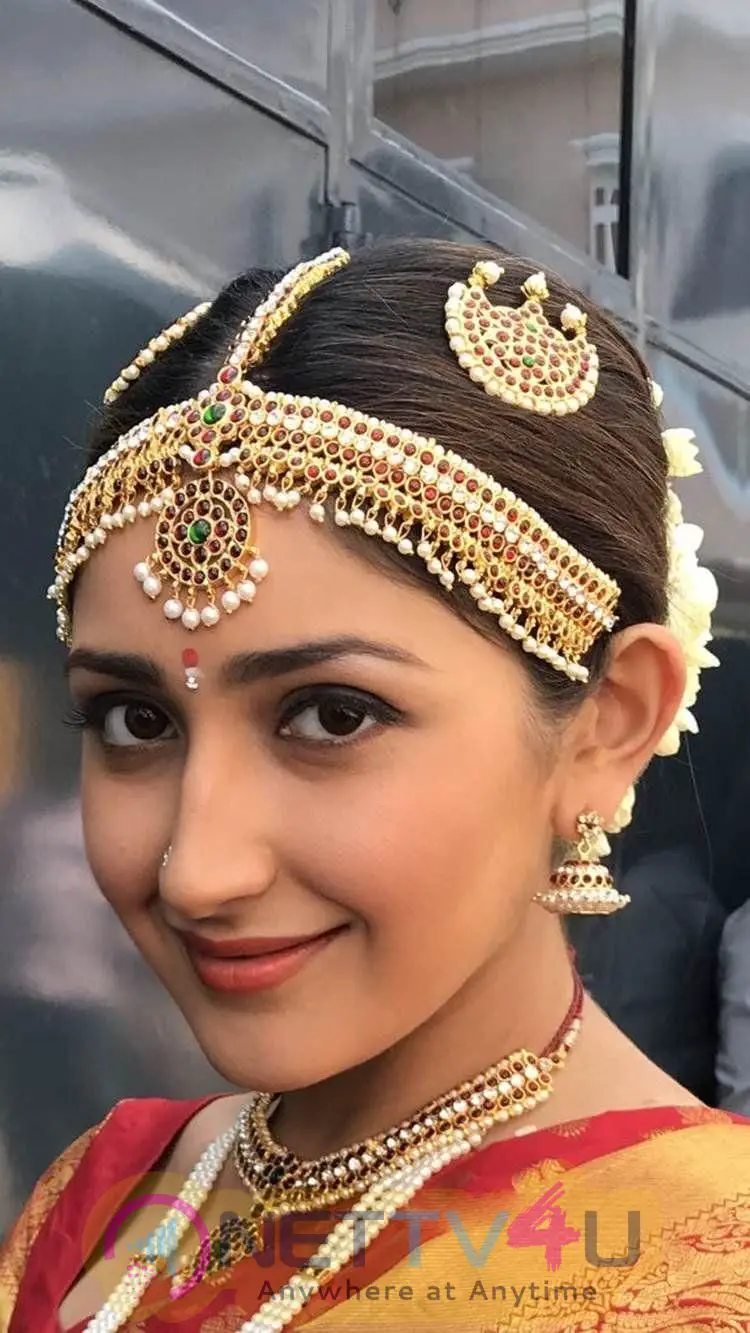 Actress Sayesha Saigal Beautiful Images Tamil Gallery