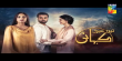 Teri Meri Kahani Urdu tv-serials on HUM TV