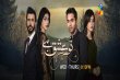 Tu Ishq Hai Urdu tv-serials on HUM TV