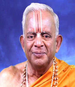 Telugu Spiritual Person Sri Tkv Raghavan
