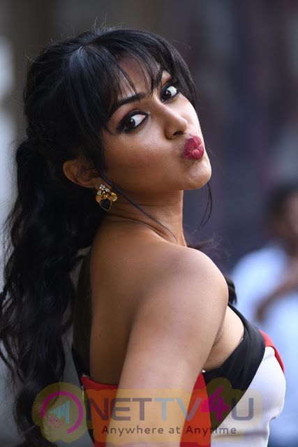 Actress Amala Paul New Hot Stunning Photos Telugu Gallery