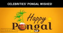 Celebrities Pongal Wishes!