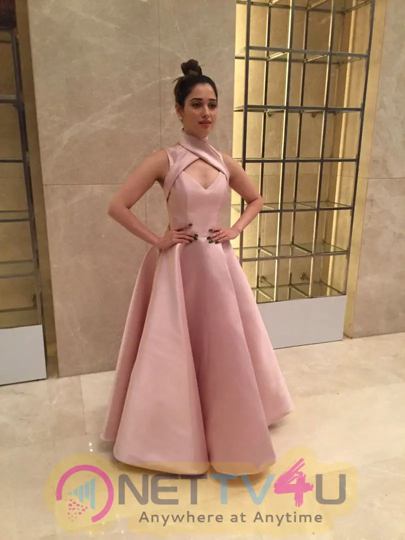  Gorgeous Tamannaah Bhatia Looked Radiant In A Mark Bumgarner Gown For The Vanitha Awards 2017 Hindi Gallery