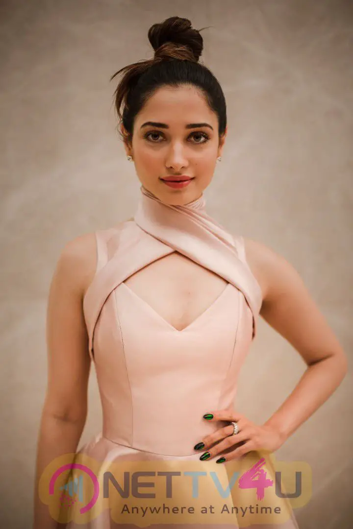  Gorgeous Tamannaah Bhatia Looked Radiant In A Mark Bumgarner Gown For The Vanitha Awards 2017 Hindi Gallery