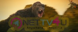 Kong Skull Island Movie Good Looking Stills