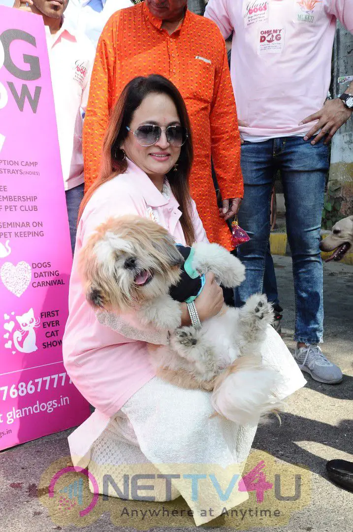 Smita Thackeray & Sankalp Sharma Present At The Dog March Photos Hindi Gallery
