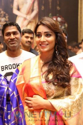 Shriya Launches VRK Silks At Himatnagar Grand Pics Telugu Gallery