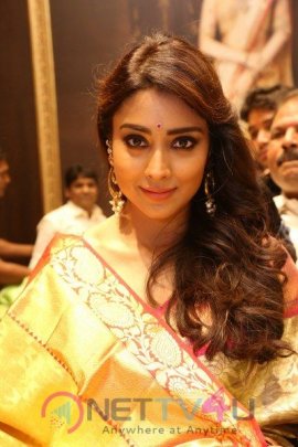 Shriya Launches VRK Silks At Himatnagar Grand Pics Telugu Gallery