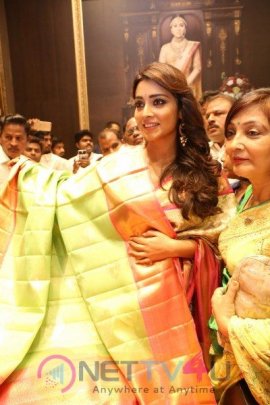 Shriya Launches VRK Silks At Himatnagar Grand Pics Telugu Gallery