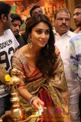 Shriya Launches VRK Silks At Himatnagar Grand Pics Telugu Gallery
