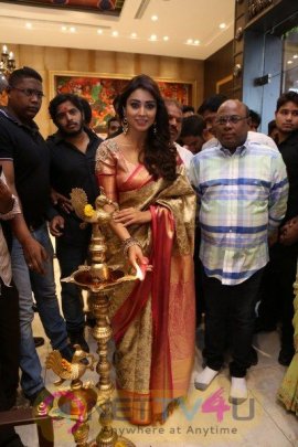 Shriya Launches VRK Silks At Himatnagar Grand Pics Telugu Gallery