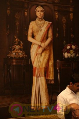 Shriya Launches VRK Silks At Himatnagar Grand Pics Telugu Gallery