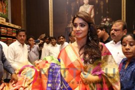 Shriya Launches VRK Silks At Himatnagar Grand Pics Telugu Gallery