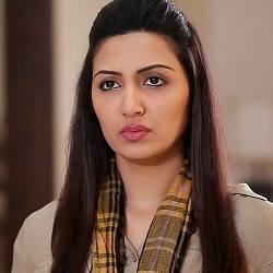 Hindi Tv Actress Maheen Rizvi